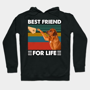 Courageous Canine Charm Ridgeback Tee Hoodie